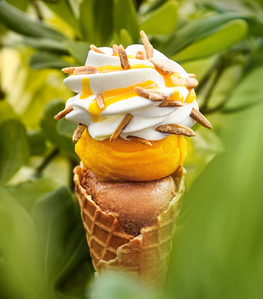 Photographie d'une glace créée par La Fabrique Givrée